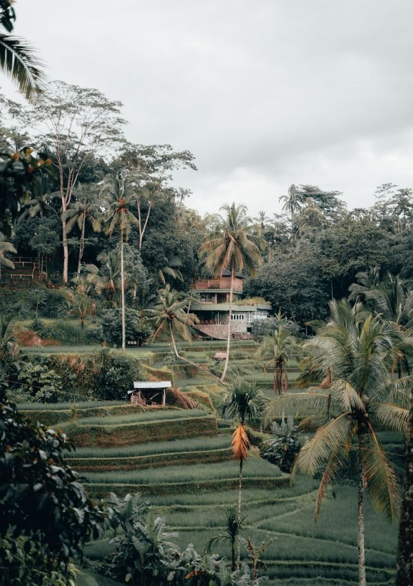 16 Incredible Things to Do in Ubud, Bali