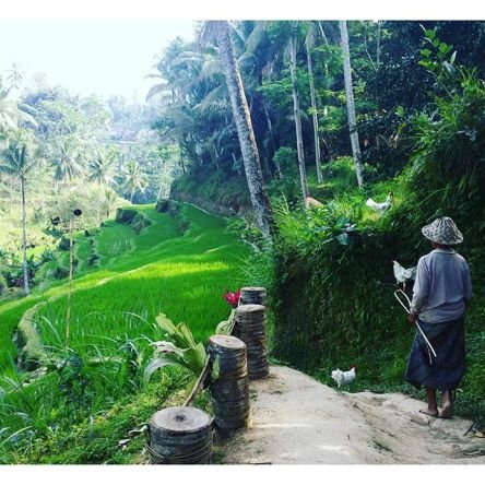 ubud bali