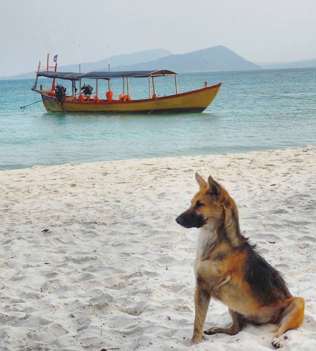 The ULTIMATE Guide to Koh Rong Island, Cambodia - Travelling Jezebel