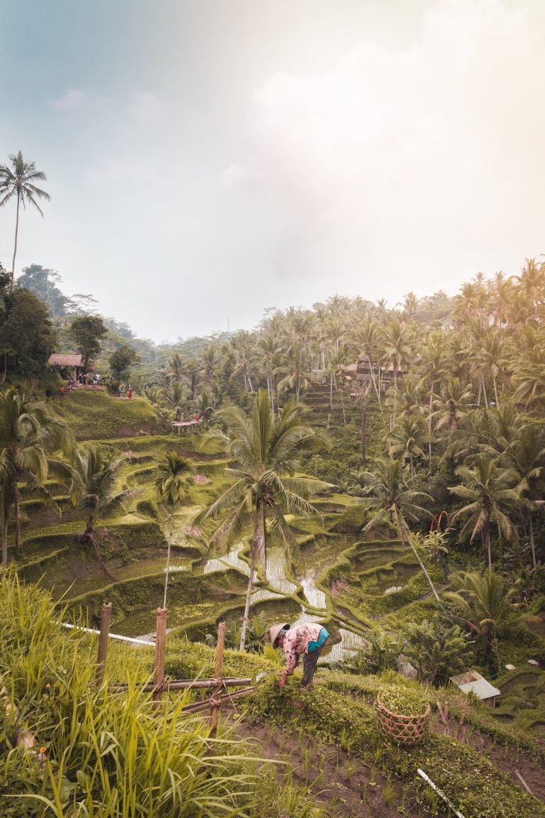 The Perfect 2 Weeks in Bali | A Bali Itinerary