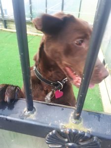 Visiting Bleakholt Animal Sanctuary, Ramsbottom, UK