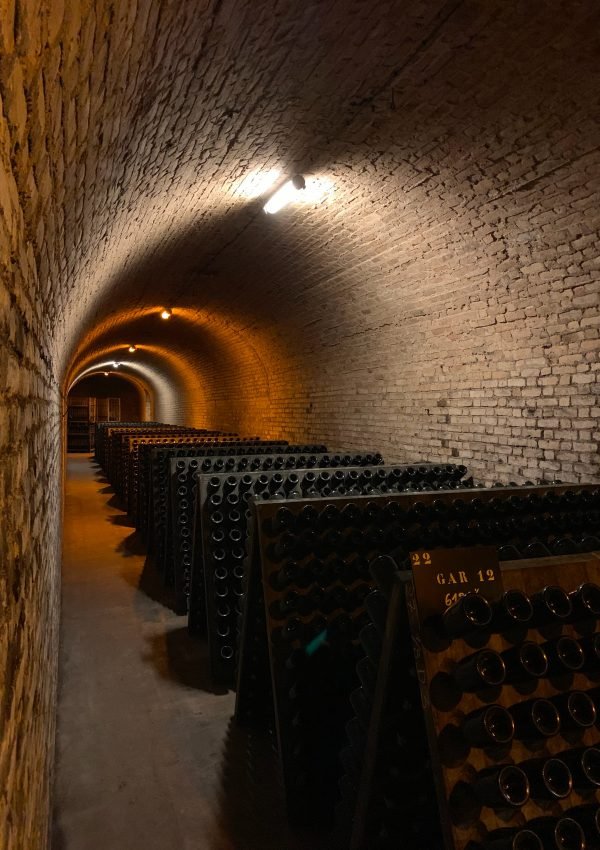 Cricova Winery Moldova, the World’s Best Wine Cellar