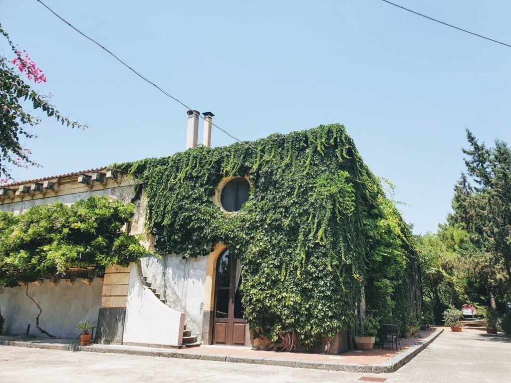 tenuta del gelso, Etna Wine