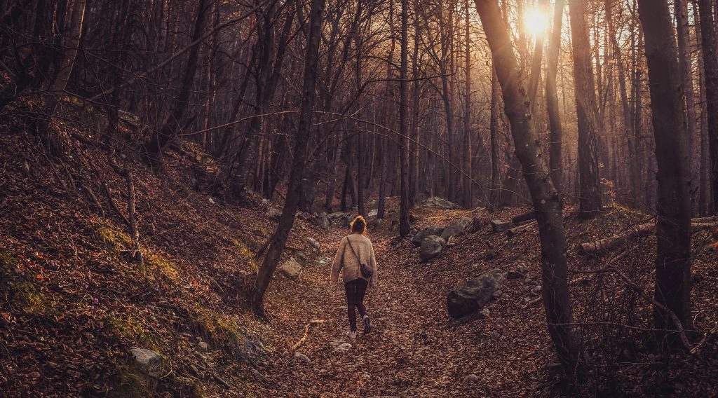 walking in the woods, summer hygge