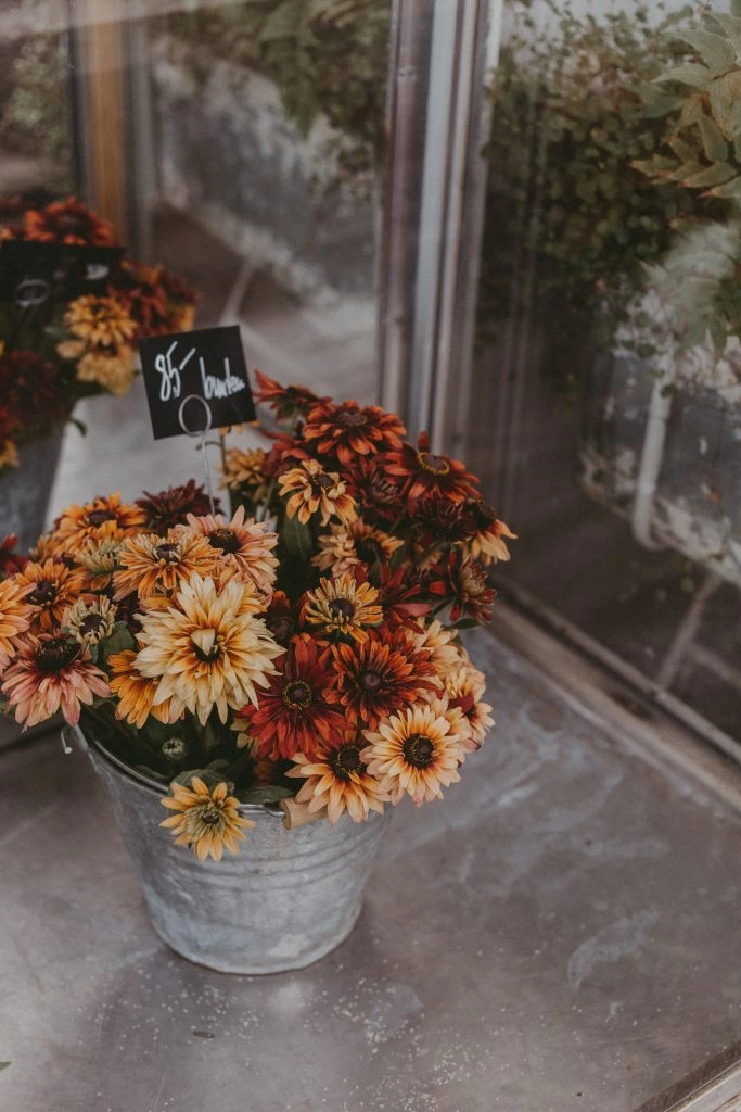 hygge flowers