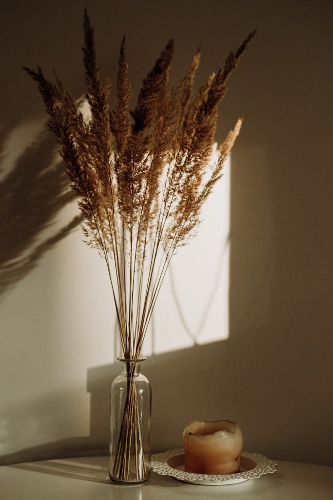 summer hygge
