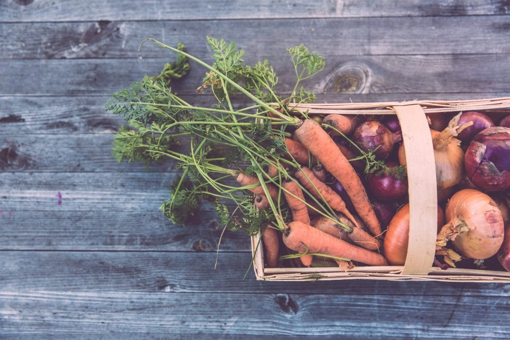 vegetable patch