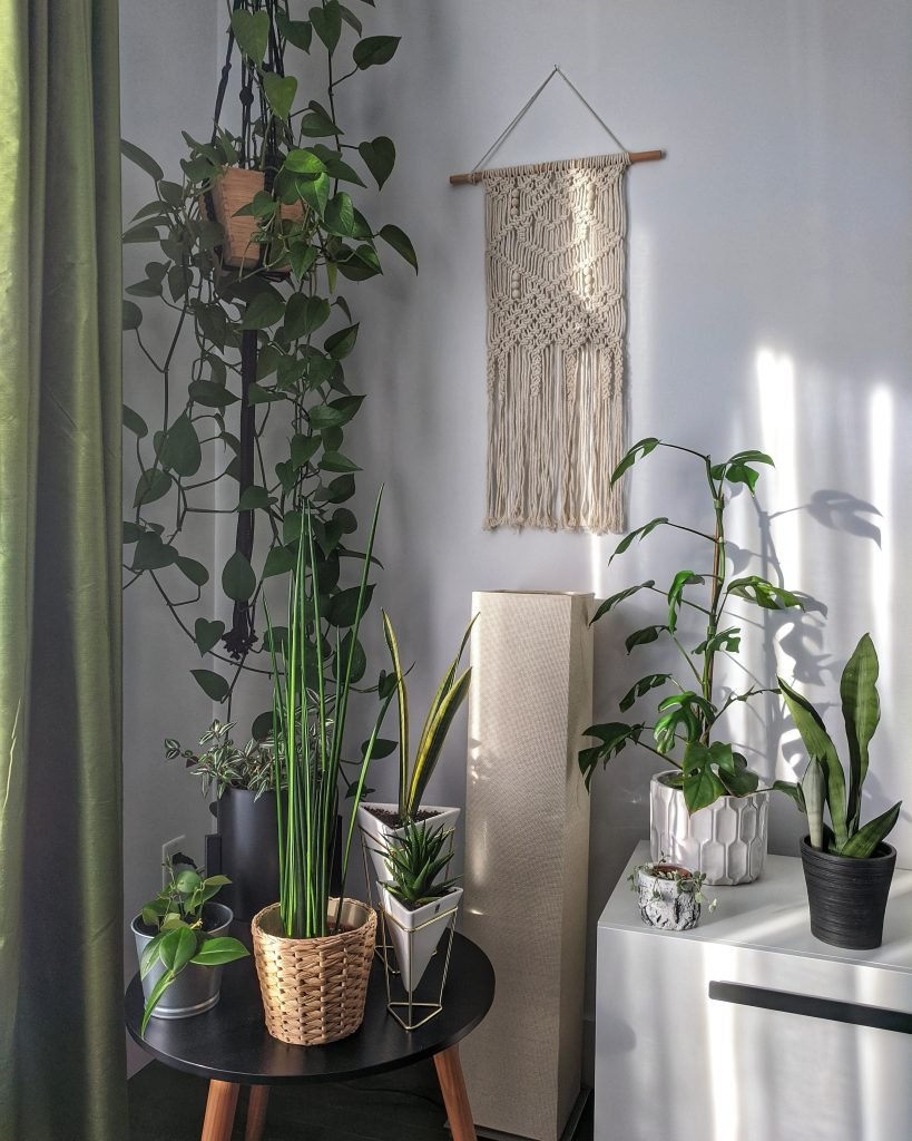 hygge home
