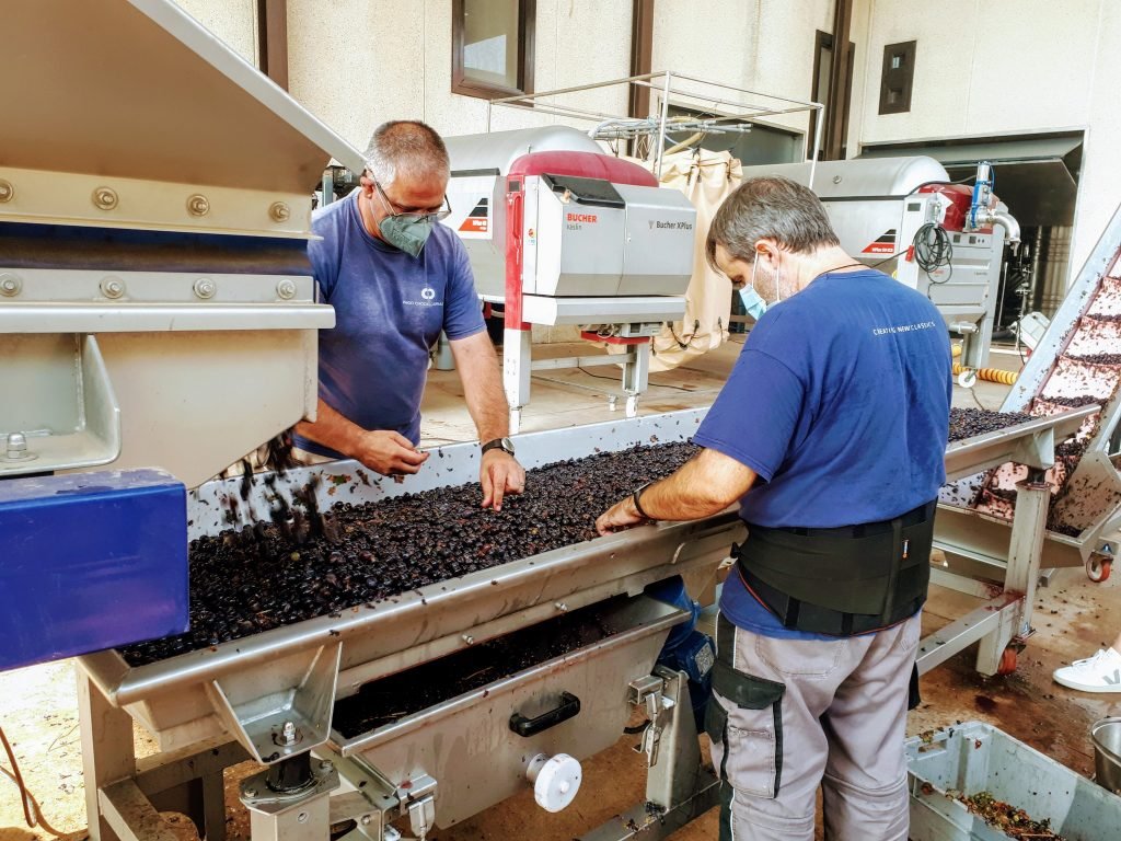 valencia wine making