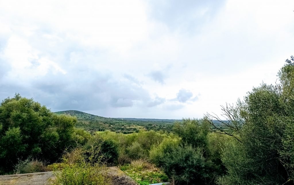 wellness retreat in mallorca