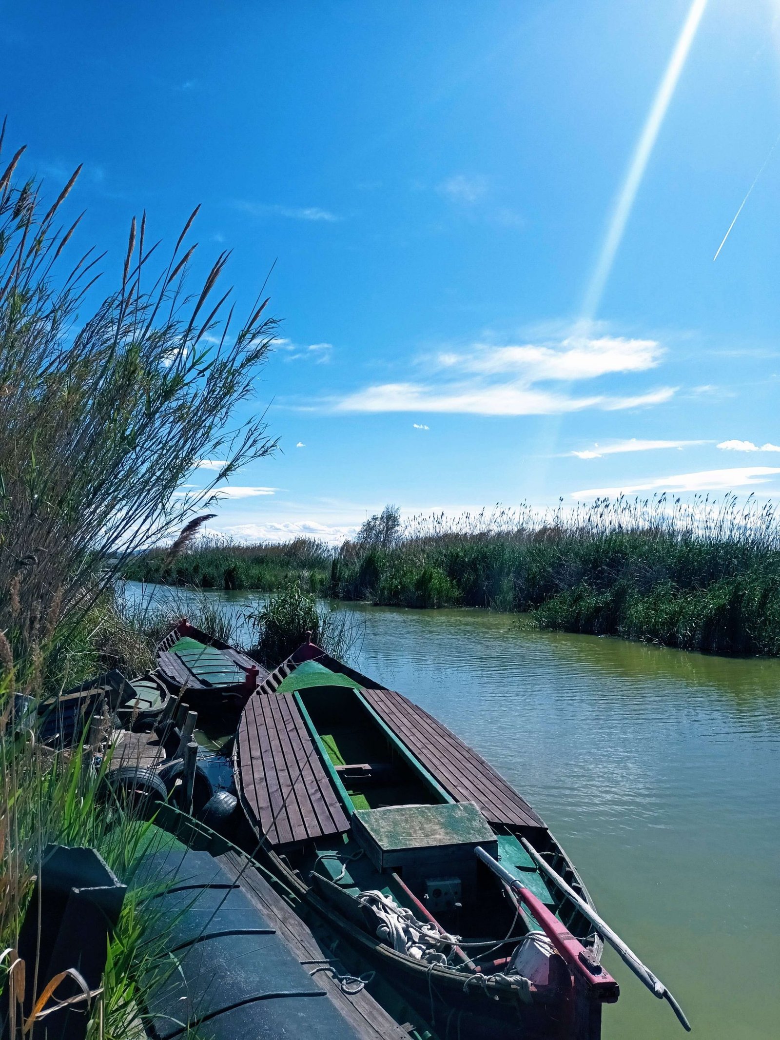 albufera national park valencia