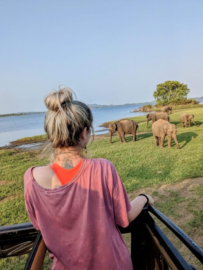 dani looking at elephants in Minneriya National Park