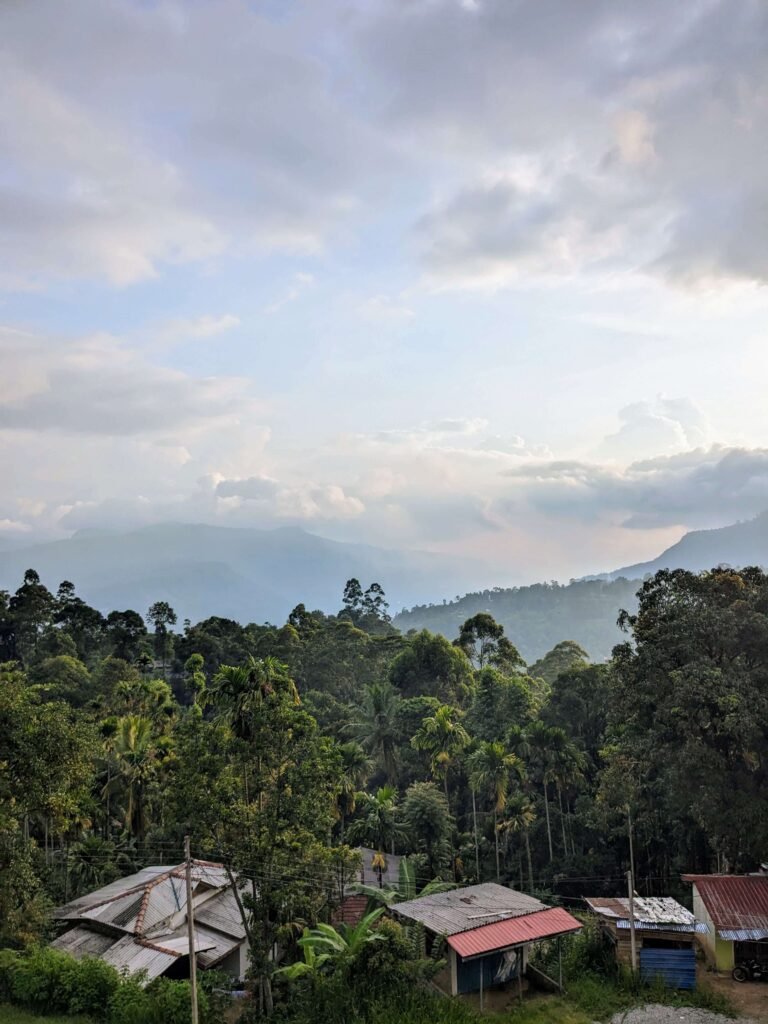 sri lankan jungle