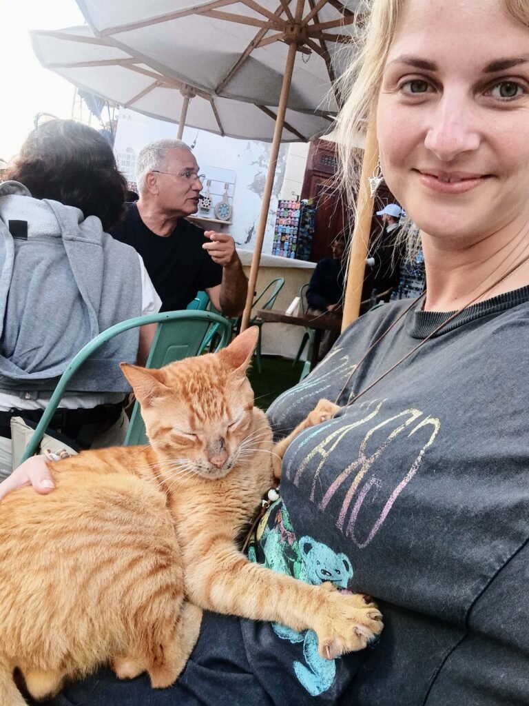 dani with a ginger cat on her lap