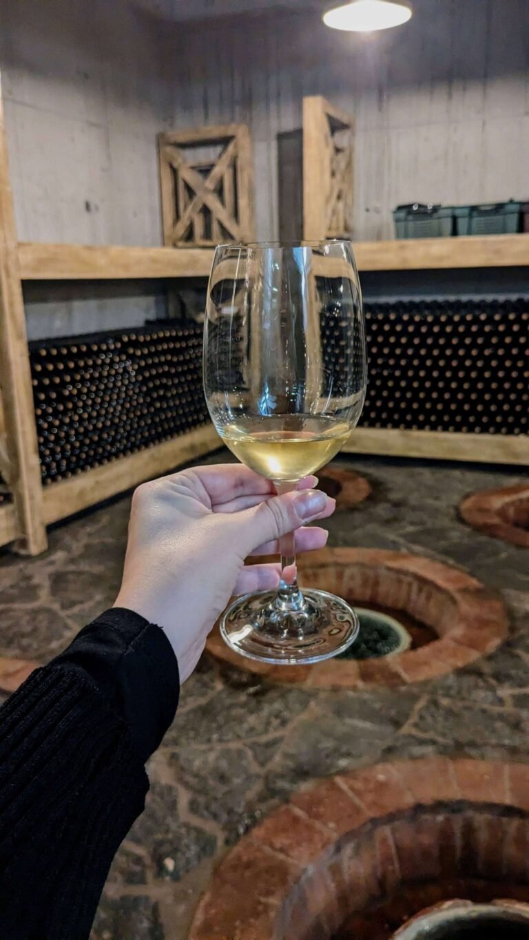 kakheti wine tour in georgia