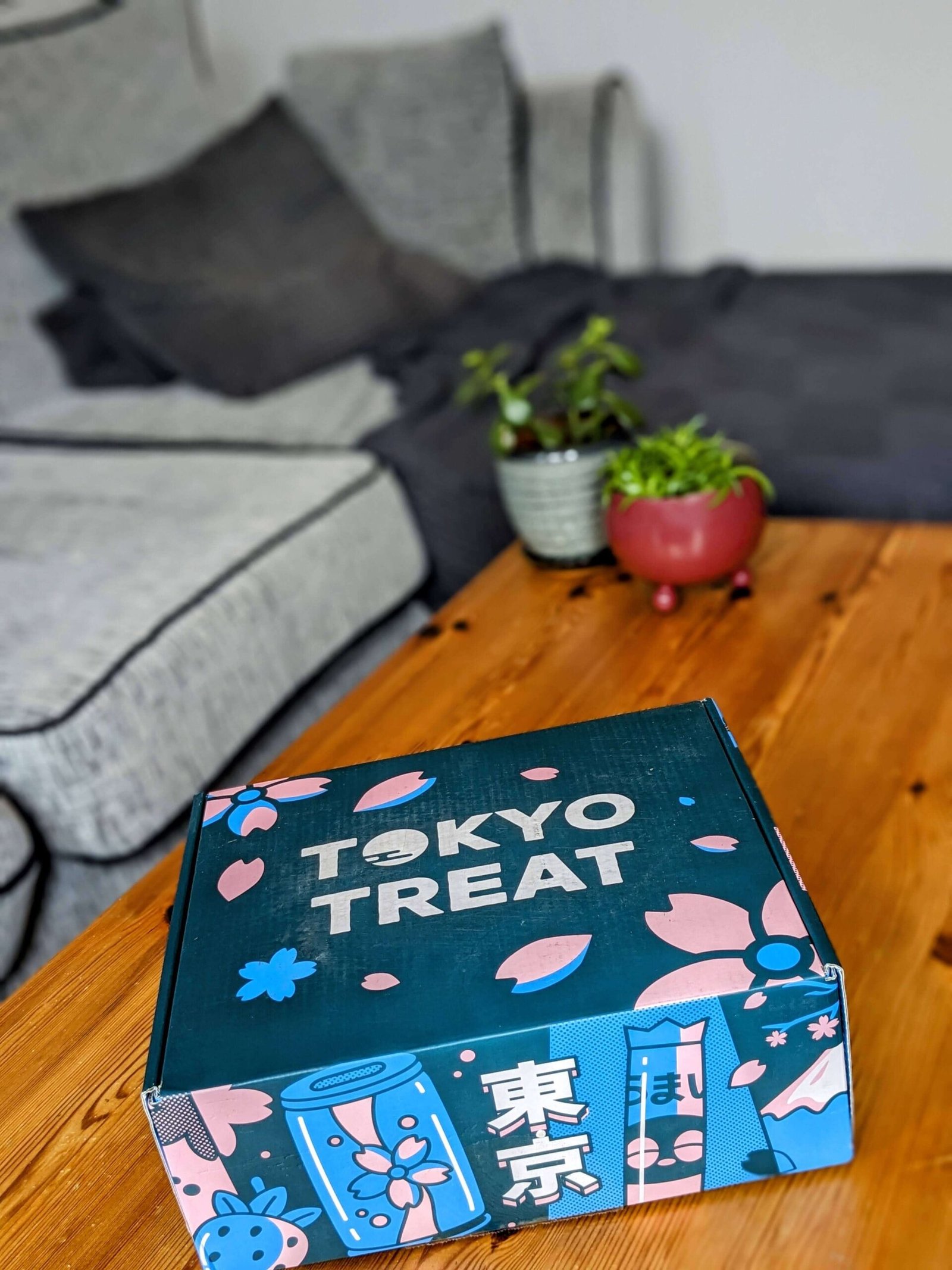 tokyo treat box