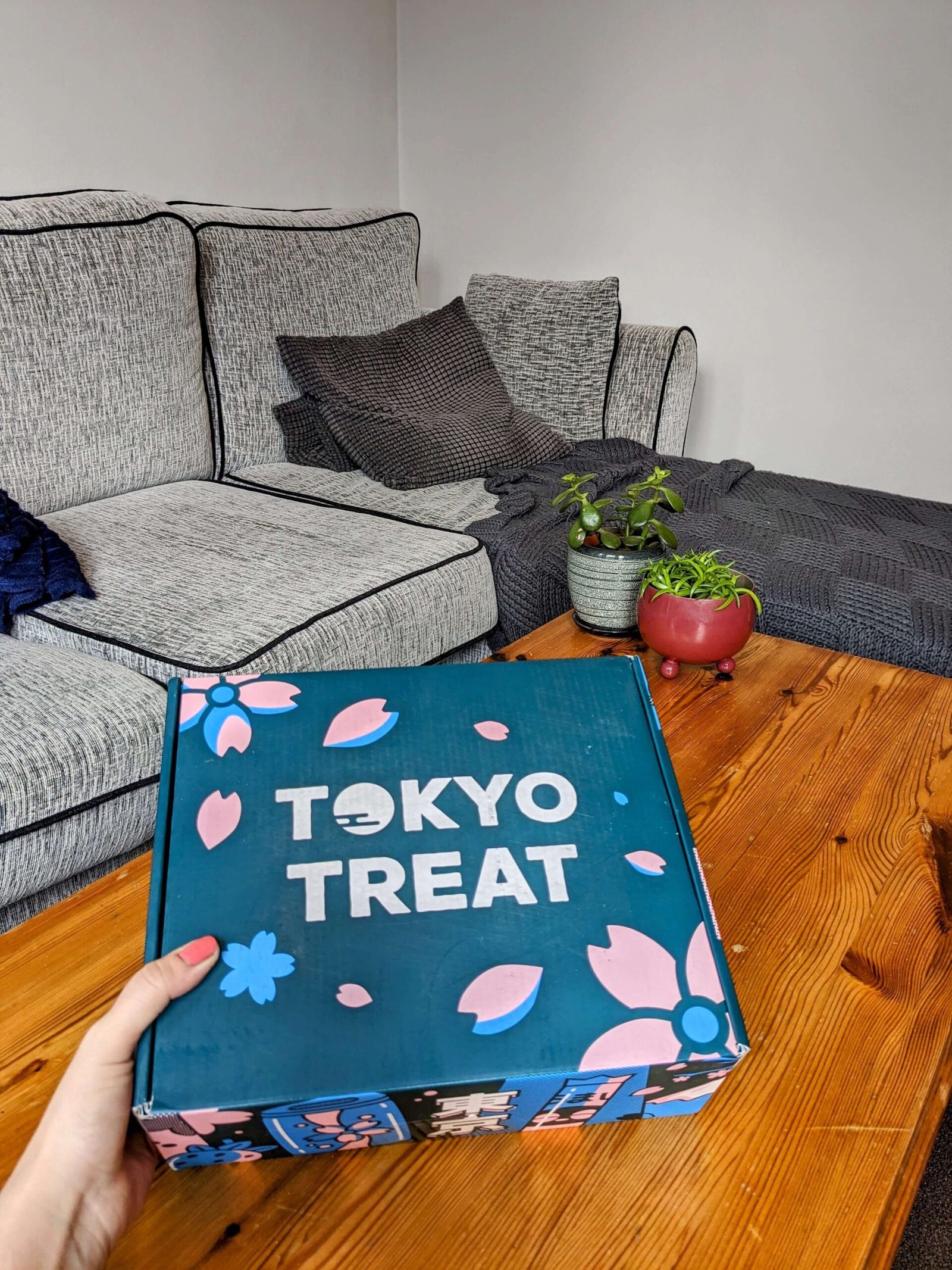tokyo treat box