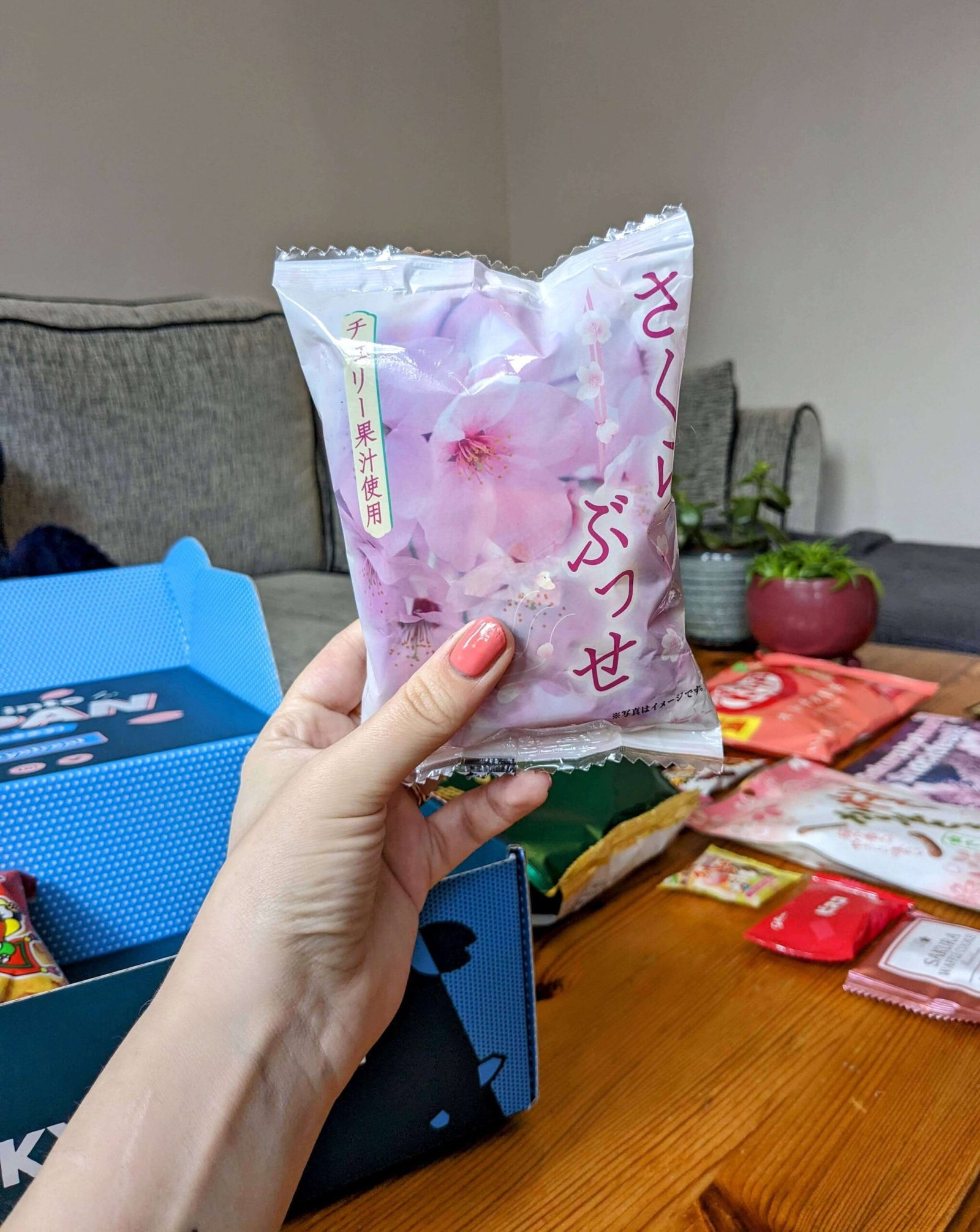 sakura cream cake in its packaging