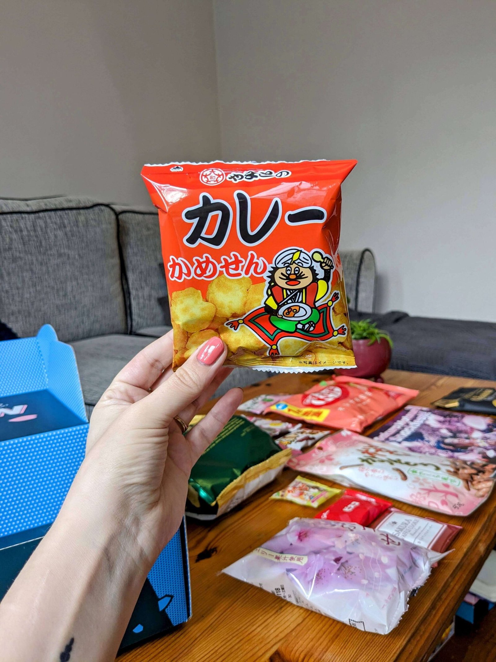 curry senbei