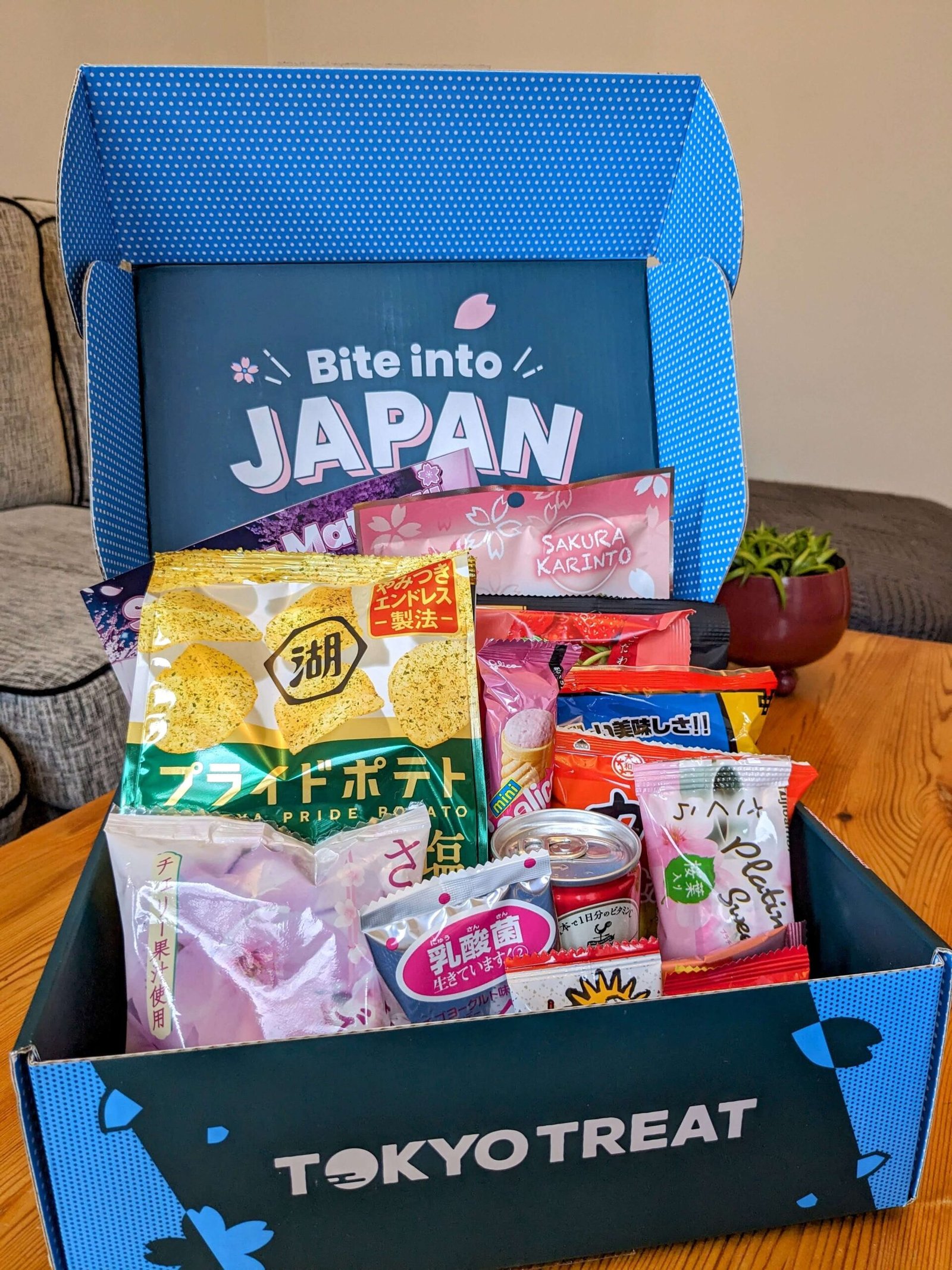 inside my tokyo treat subscription box