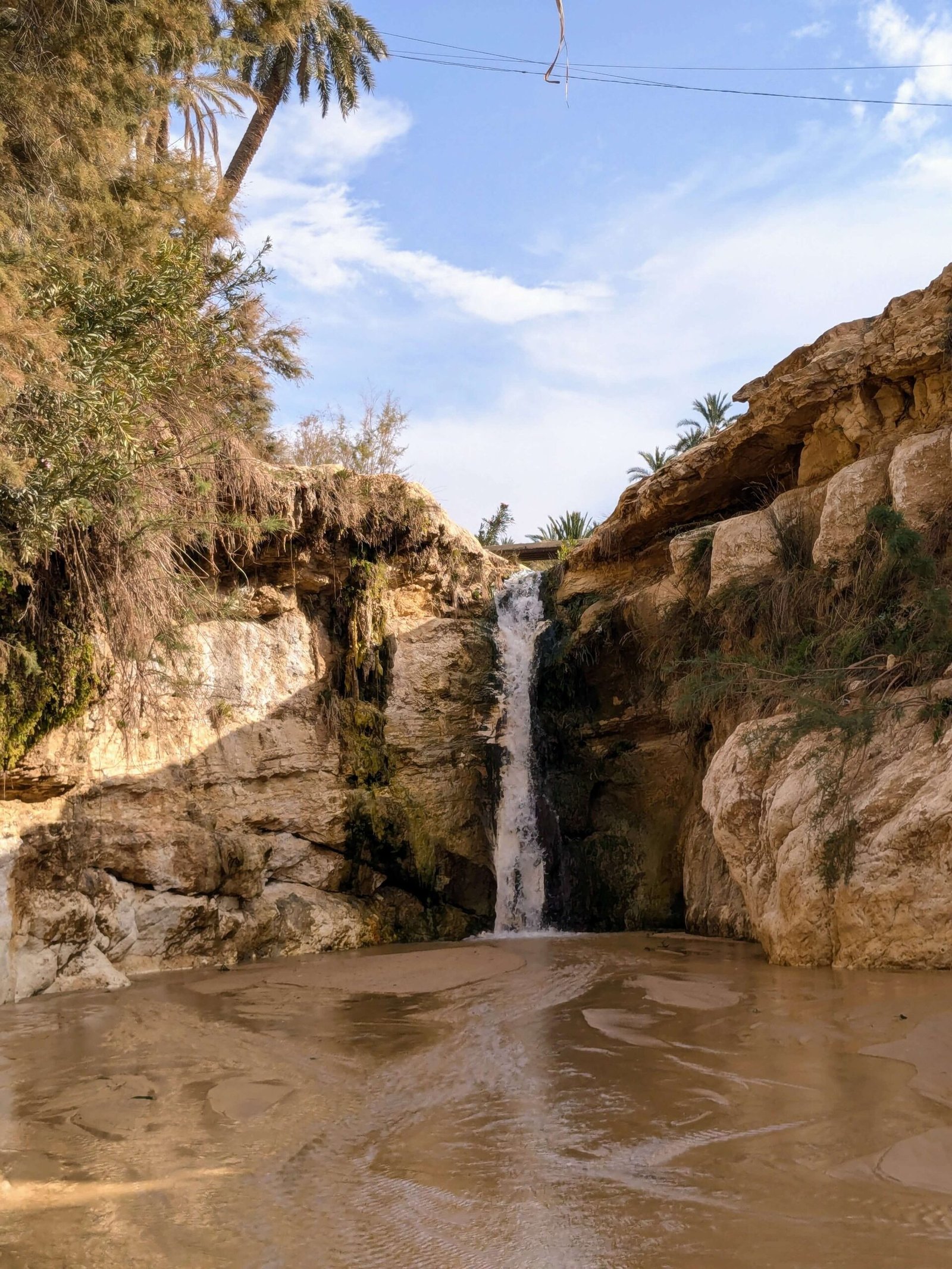 tamerza waterfall