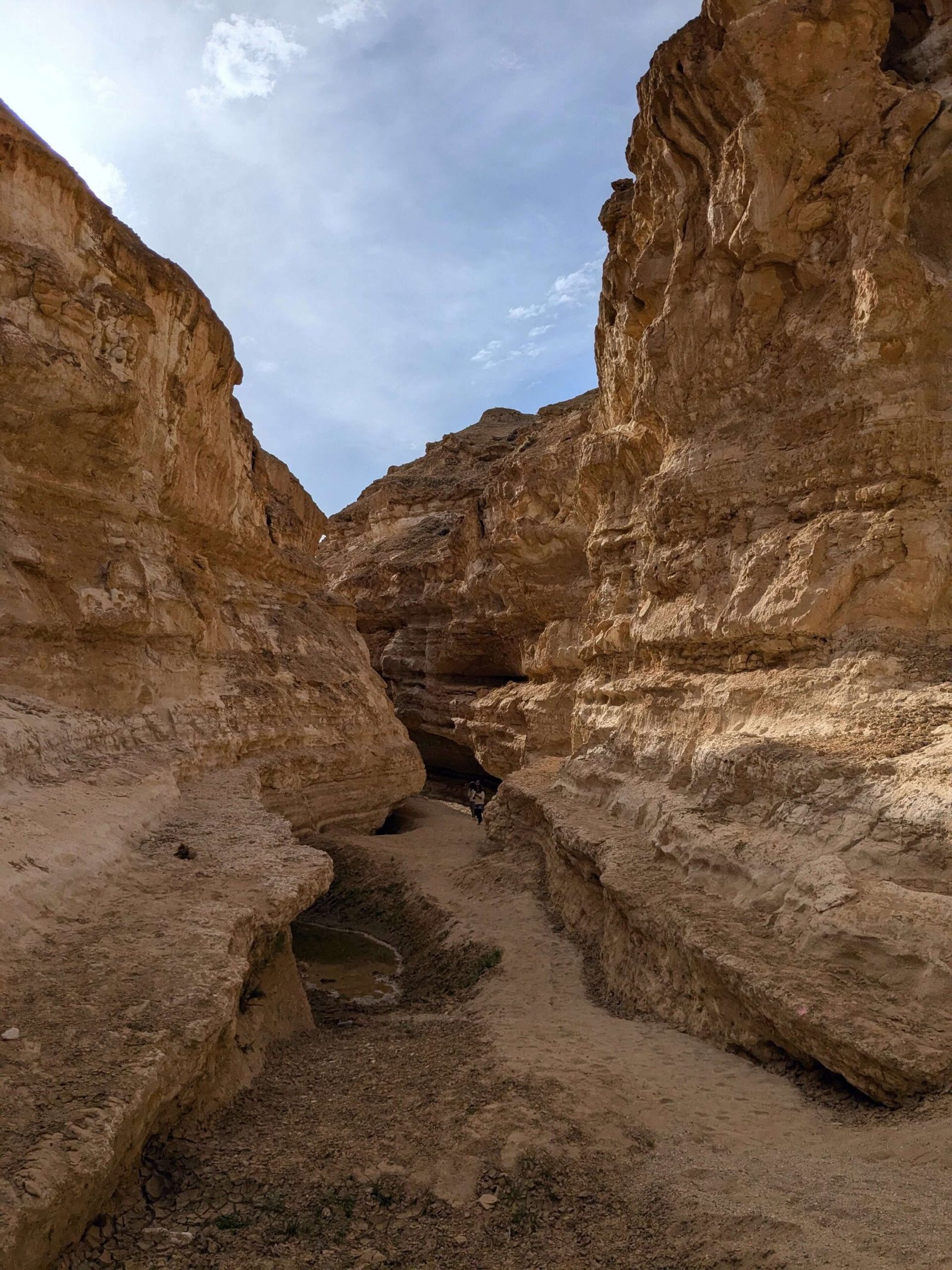 tamerza canyon