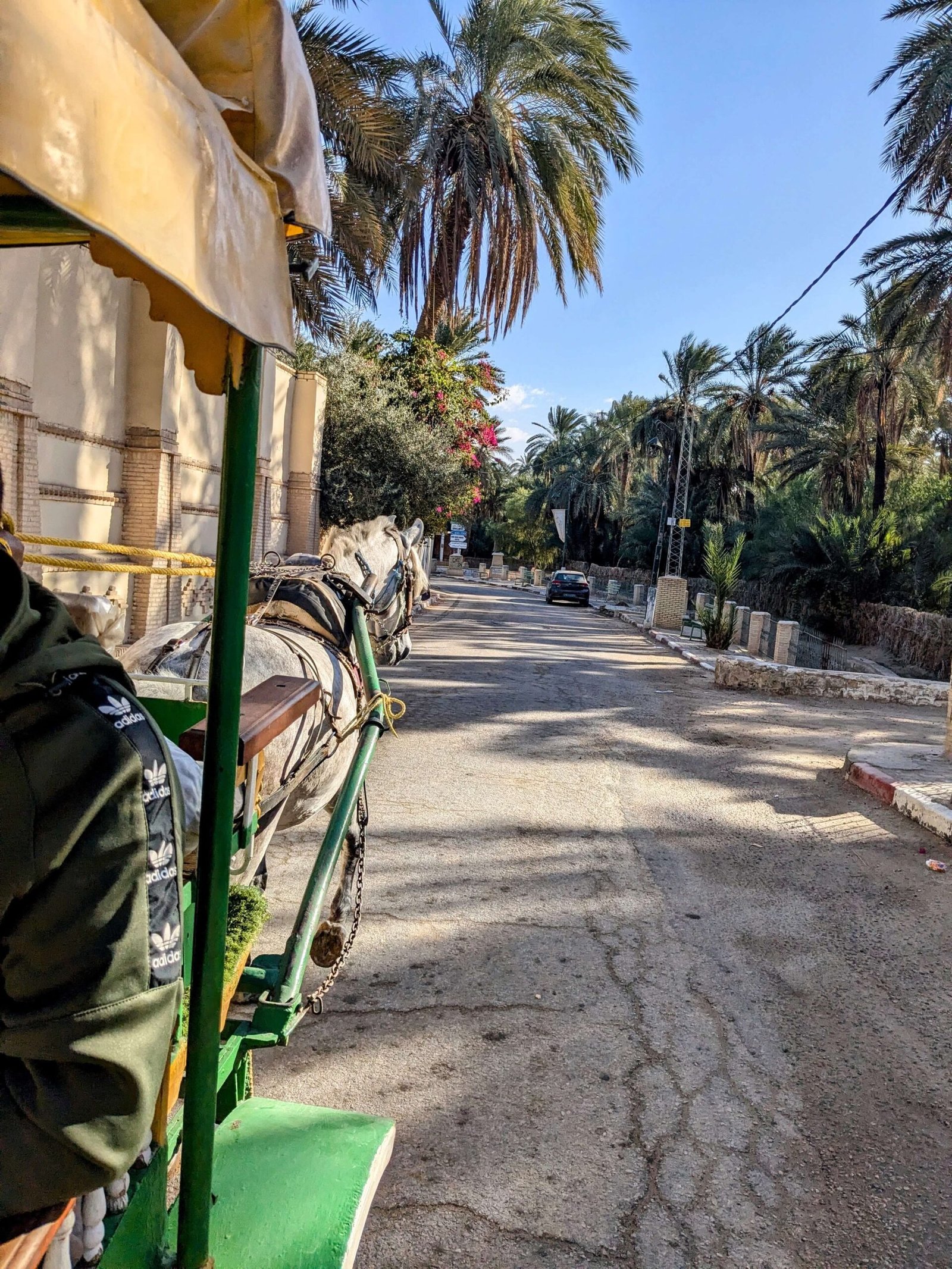 horse and cart ride in tozeur