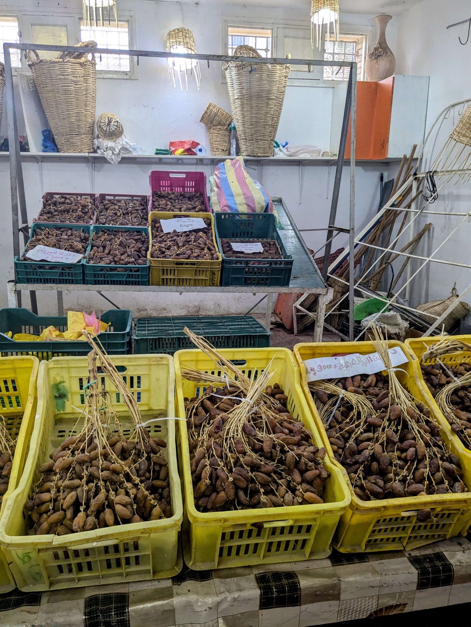 dates in tunisia