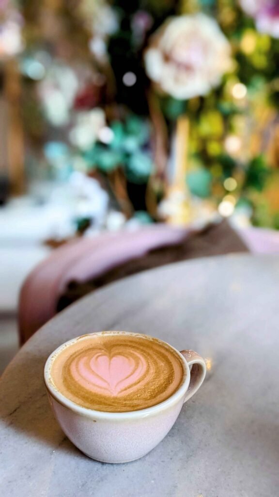 pink cappuccino at ellyz
