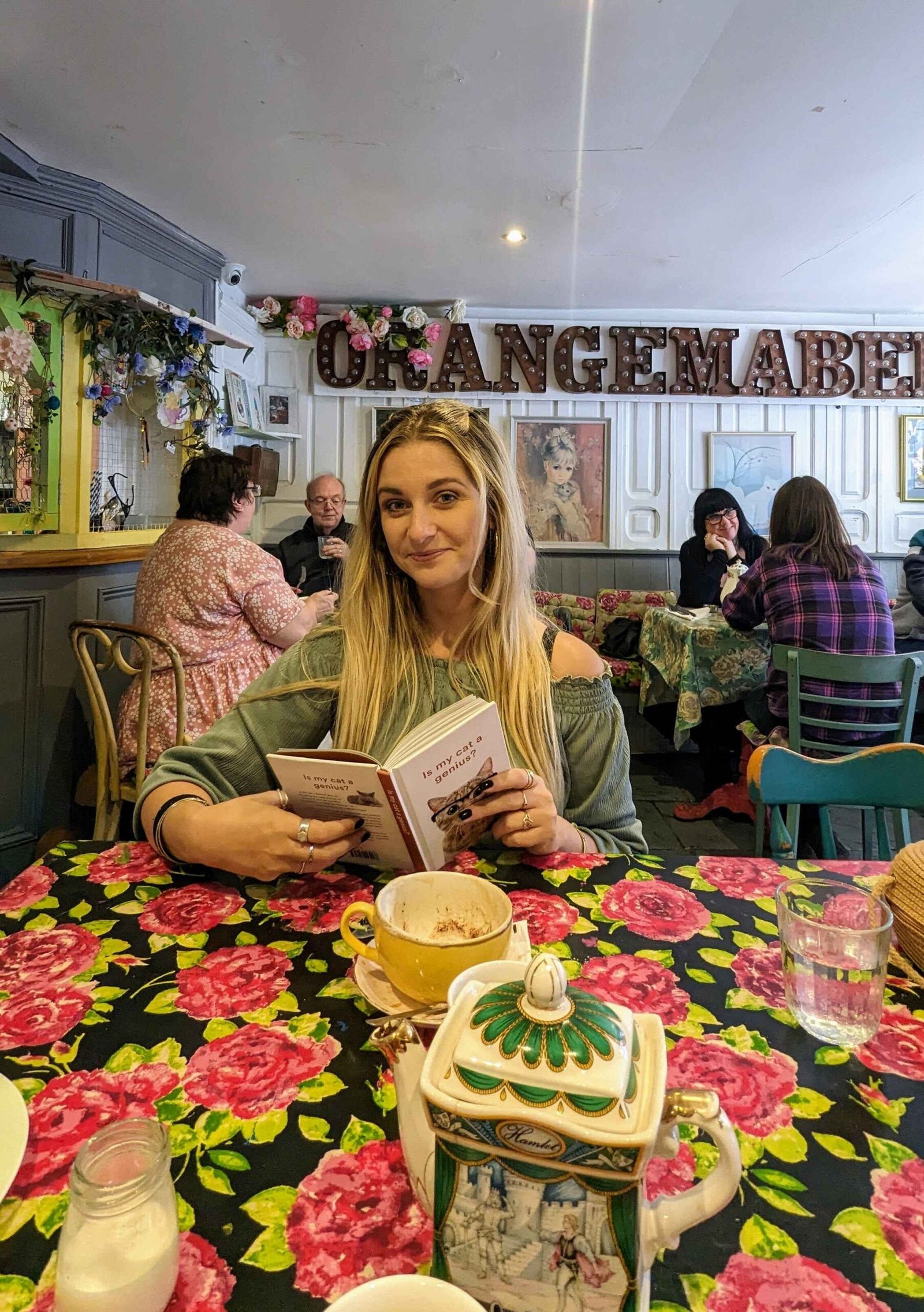 dani inside shakespaw cat cafe