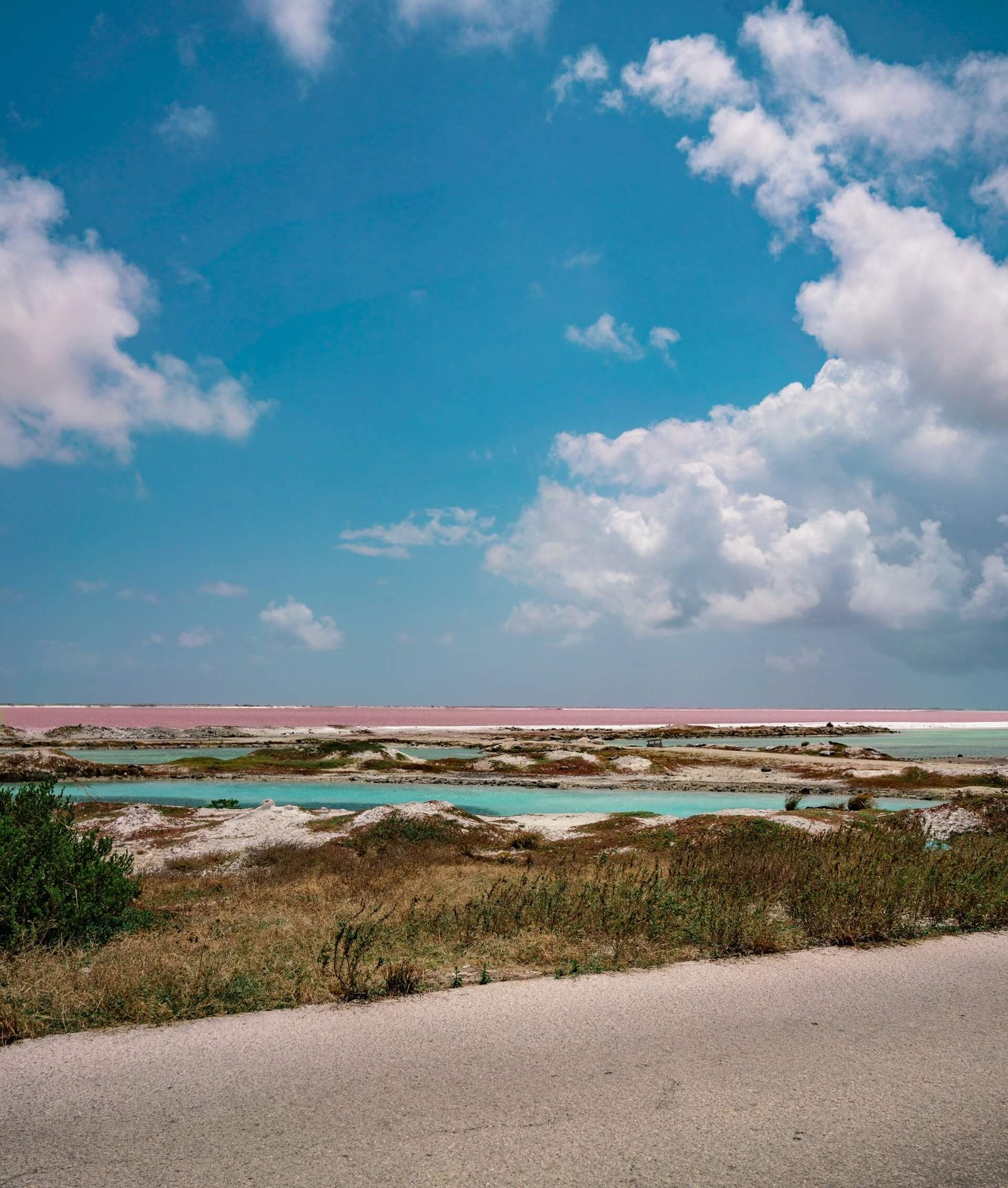 bonaire national marine park