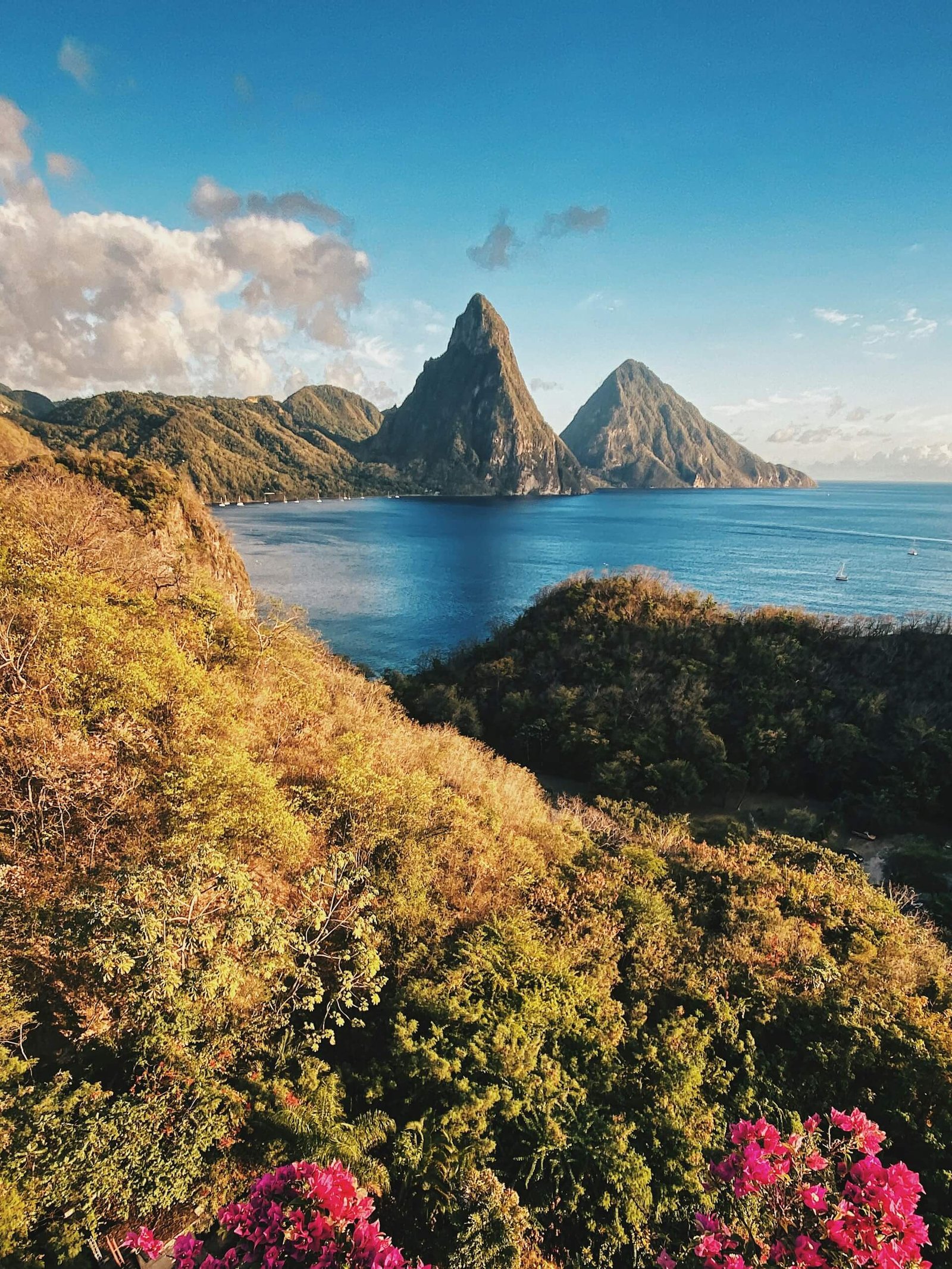 gros piton and petit piton st lucia