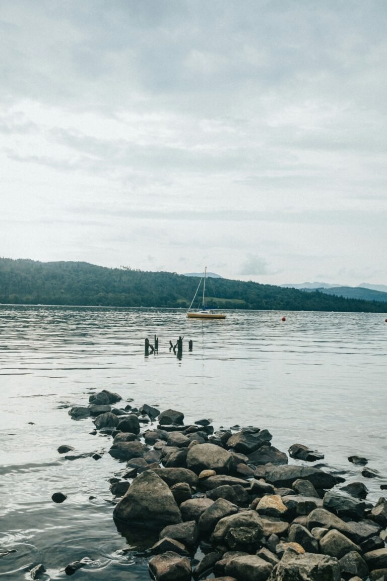 Top 11 UK Lakes to Reconnect with Nature Through Fishing