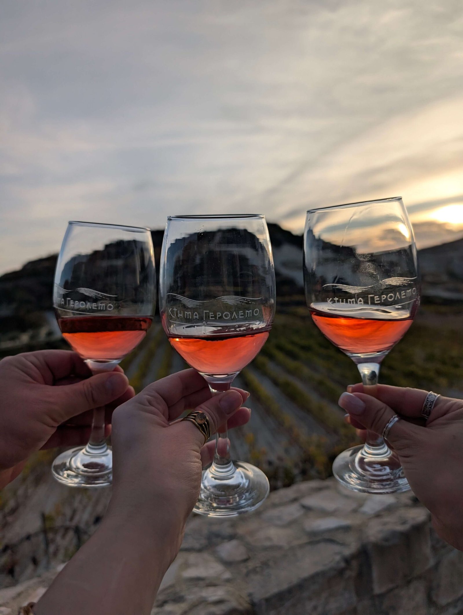 wine tasting in cyprus