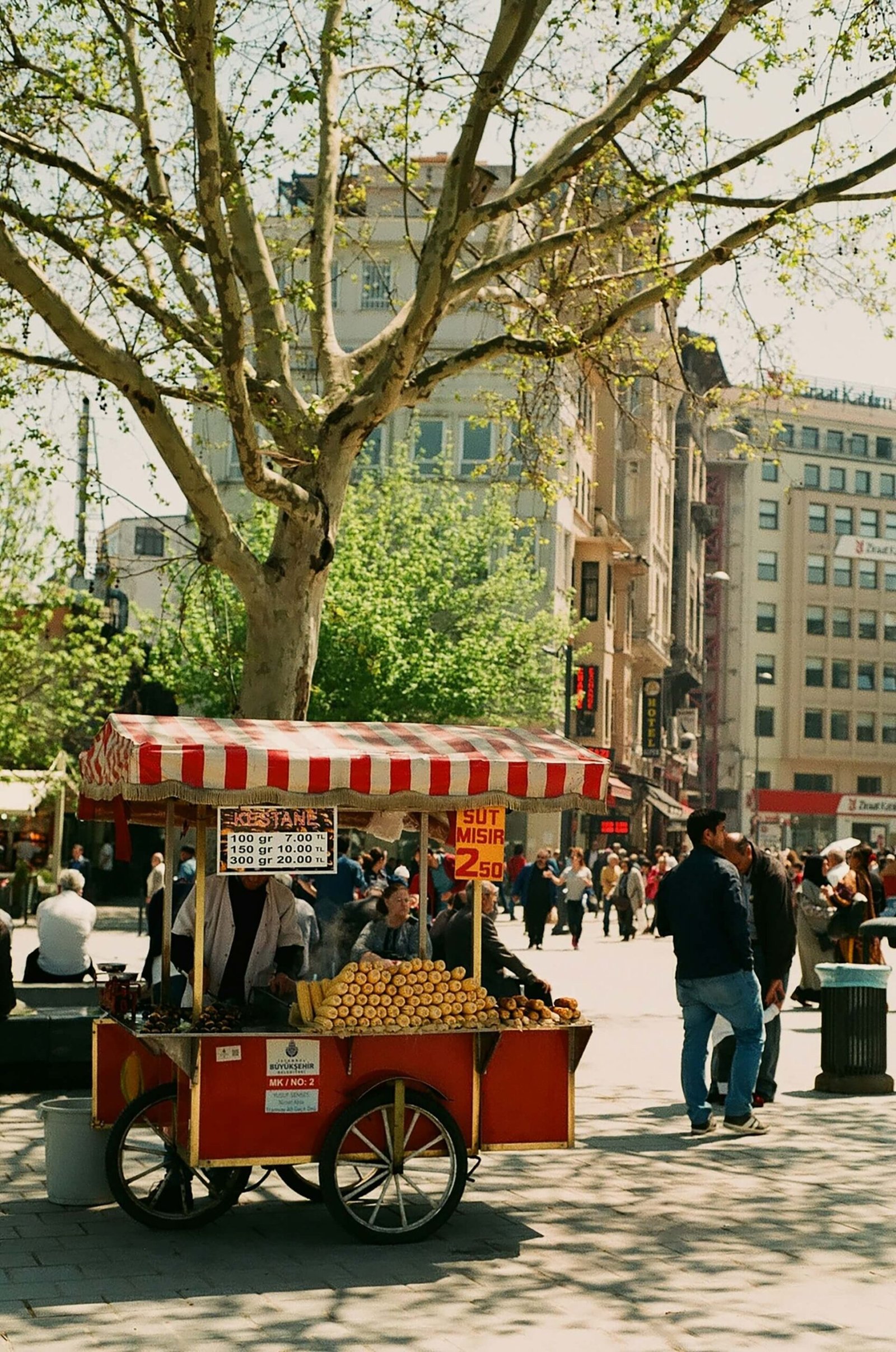 street food in istanbul