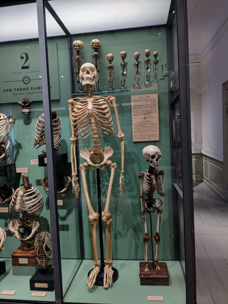 different types of museums