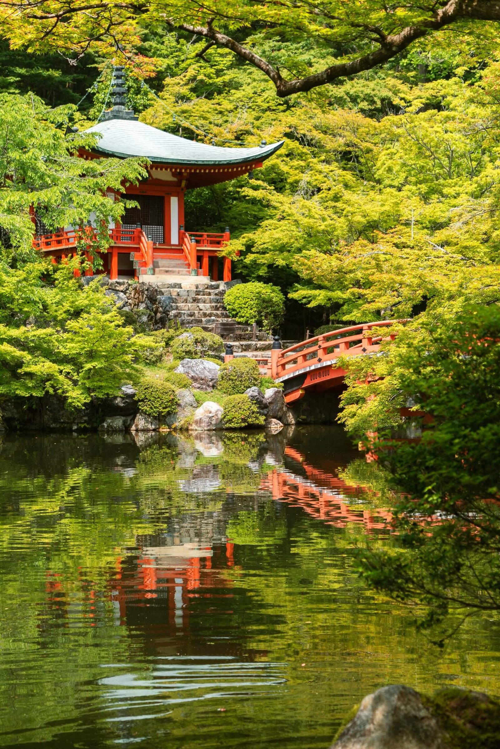 kyoto 