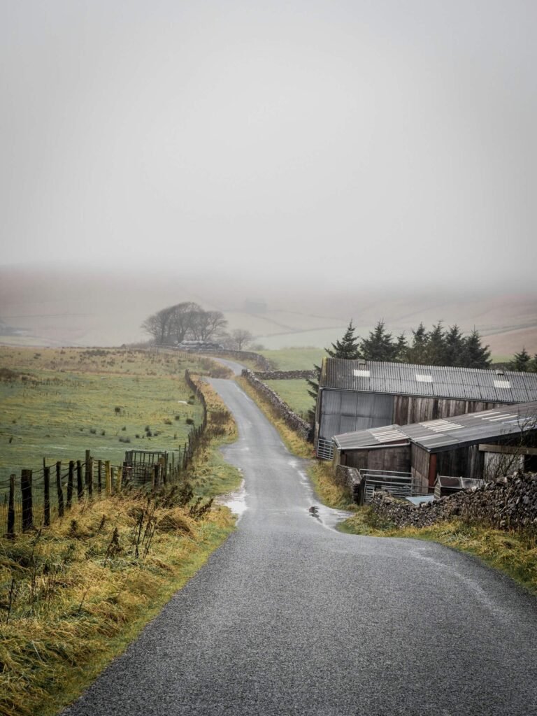 Scenic UK Road Trips: The Car Essentials You Need, from Alloy Wheels to Breakdown Cover