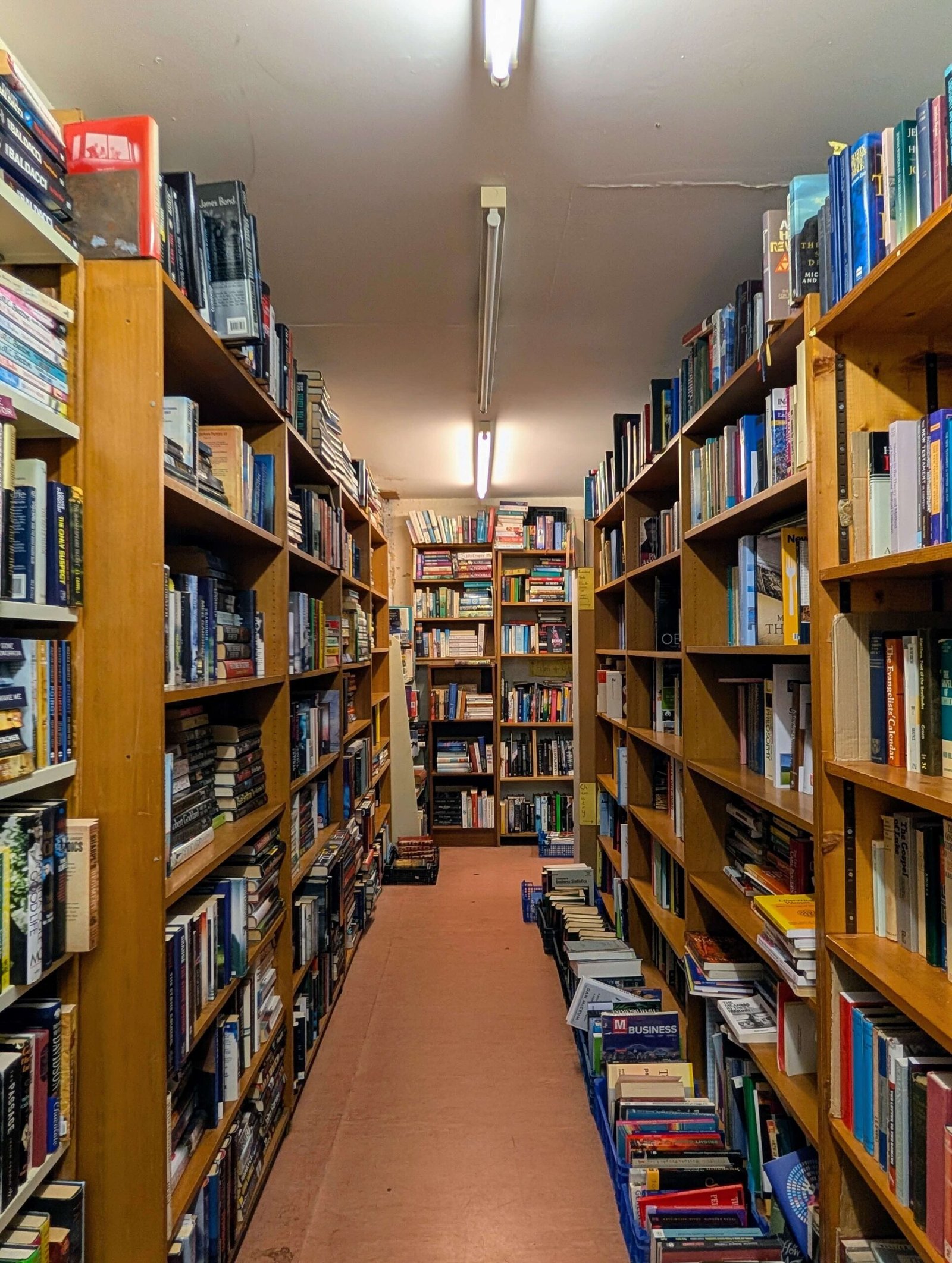 beware of the leopard books bristol