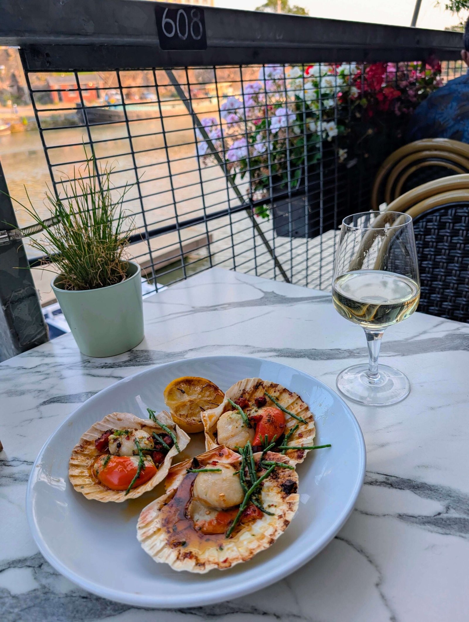 scallops