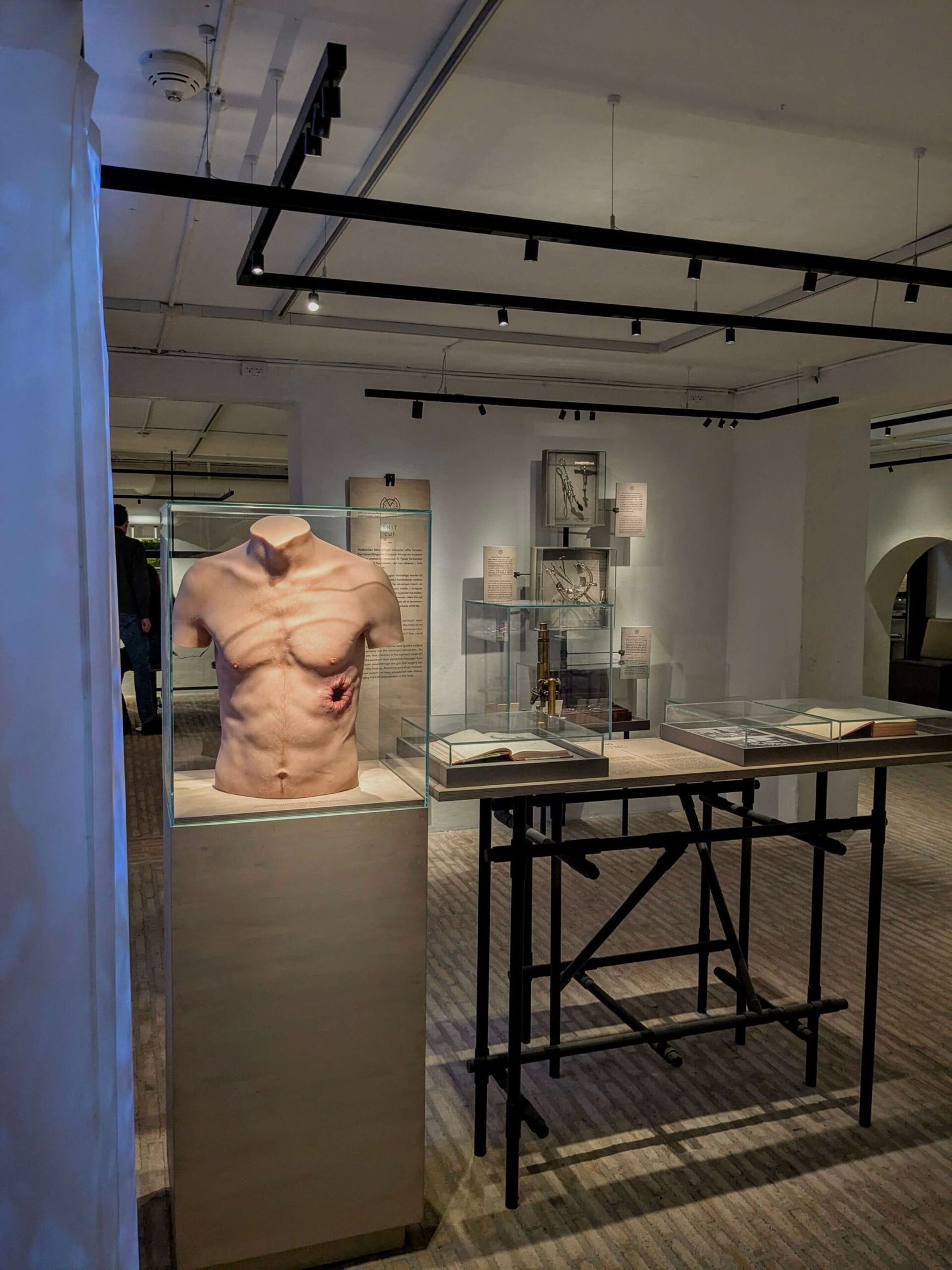 Medicinsk Museion copenhagen