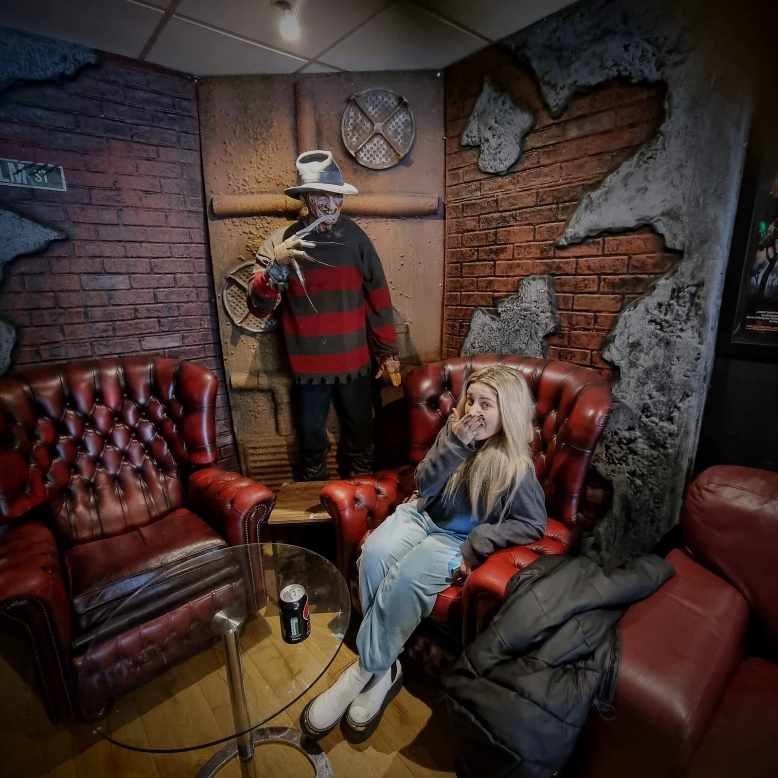 me in scream and shake with freddy krueger 